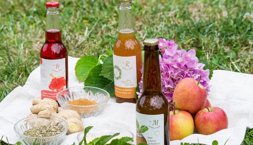 Trois bouteilles d’infusion à froid Maison Miollis sur un linge blanc, entourées de gingembre, menthe, pommes et fleurs.